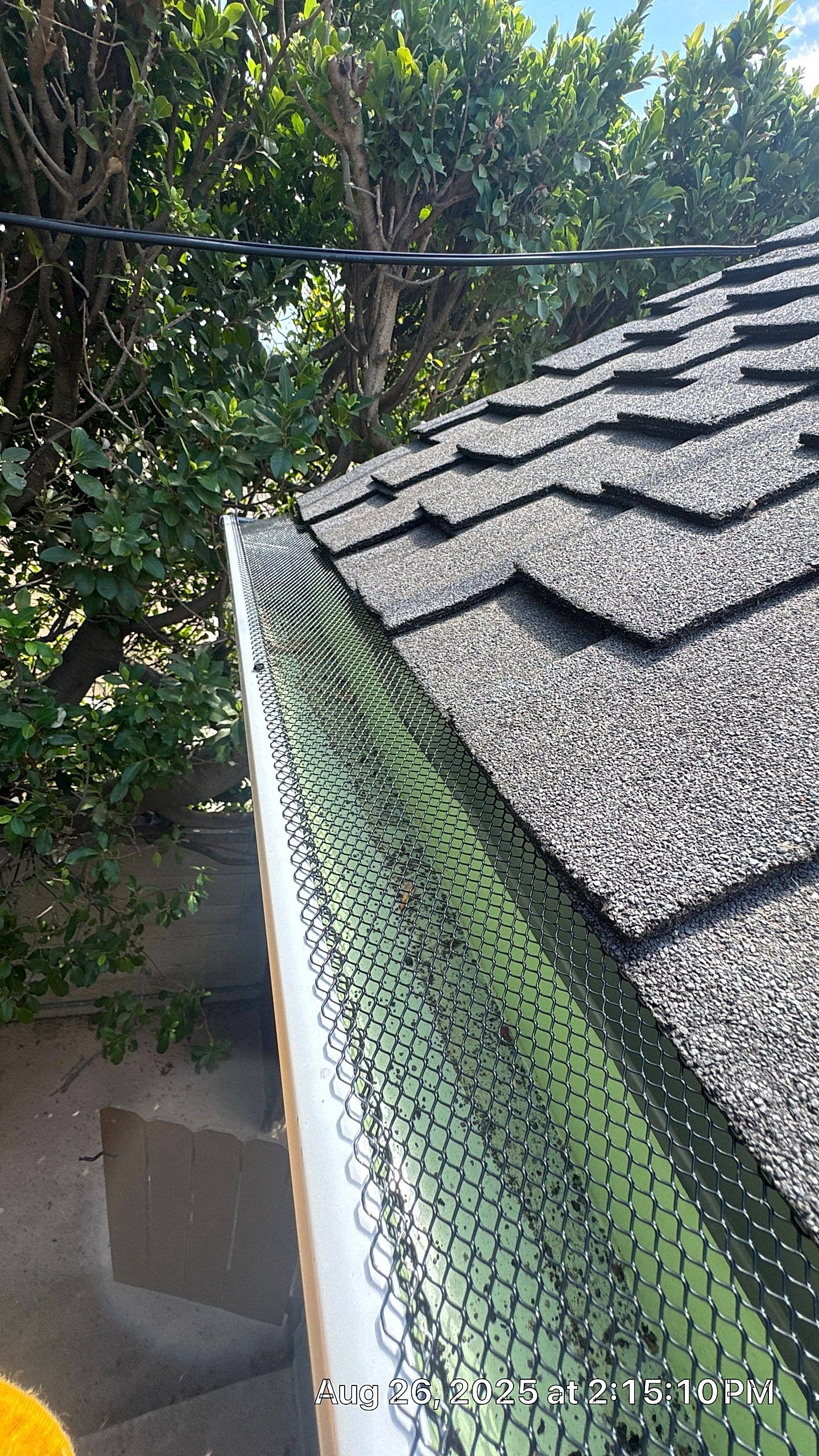 Rooftop gutter with leaf guard and shingles