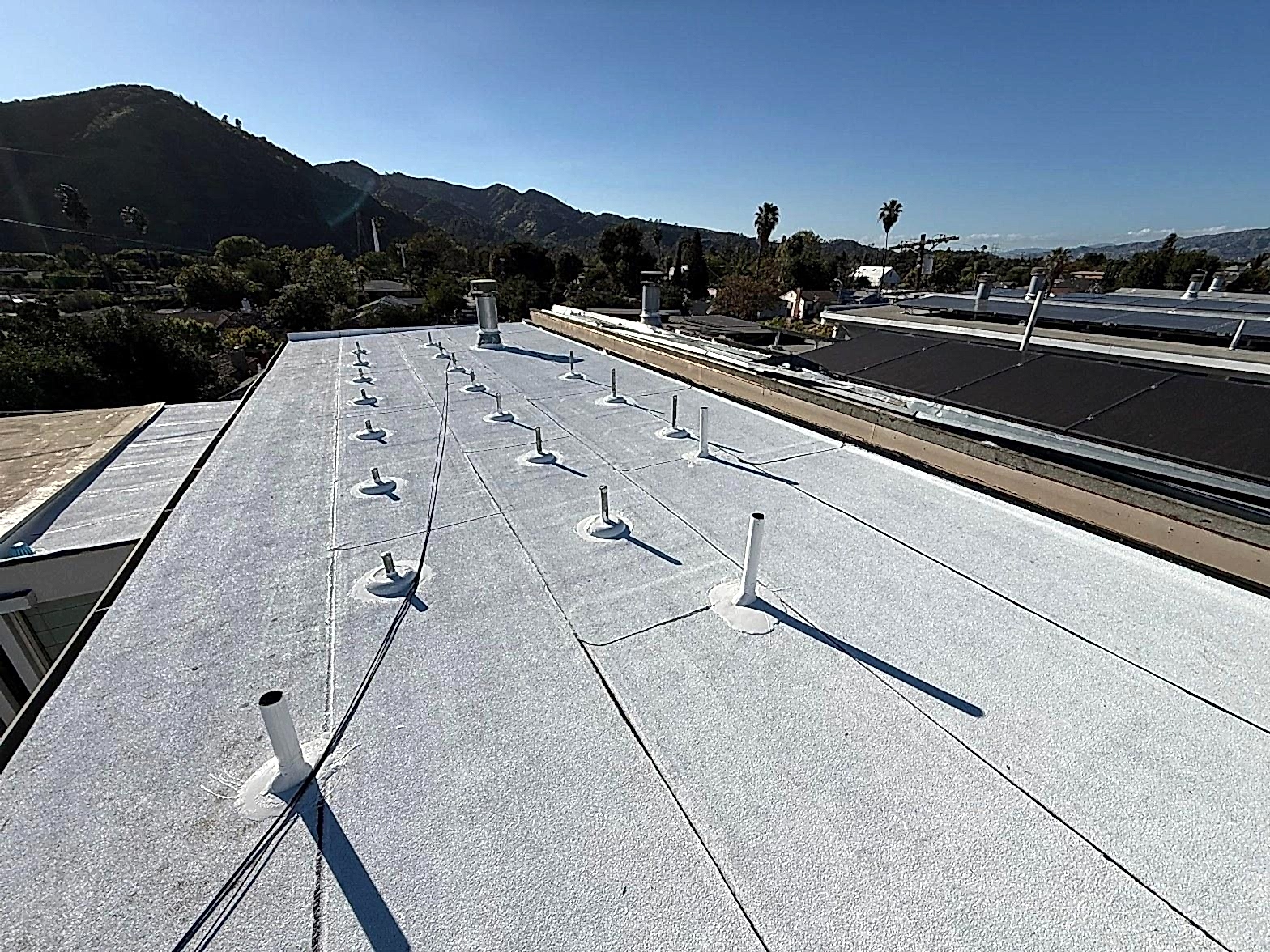 Commercial Roof Repair in California: Complete Guide for Building Owners in 2026
