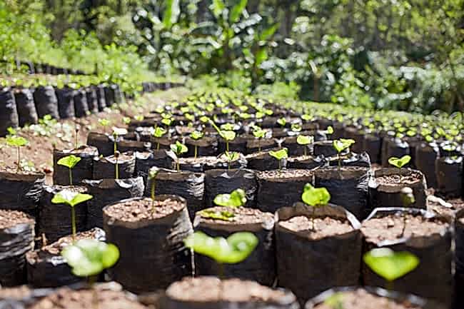 The Future of B Corp at Origin