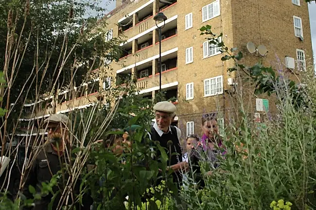 Grow the City - Guerrilla Gardening Event