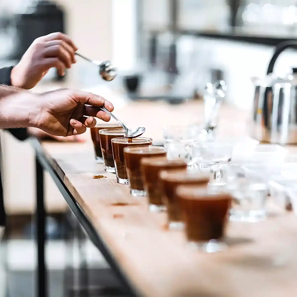  Coffee Tasting Courses 